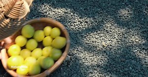 peacefully living in the countryside♡ | NatureHolic