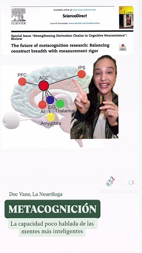 Metacognición: La Super Capacidad del Cerebro