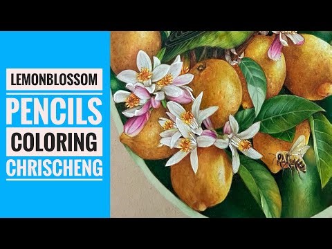 LEMON BLOSSOM Coloring - Part 6 | From "Fischer's Lovebird Coloring Page" | Chris Cheng