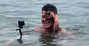 Octopus Hitches A Ride On Swimmer