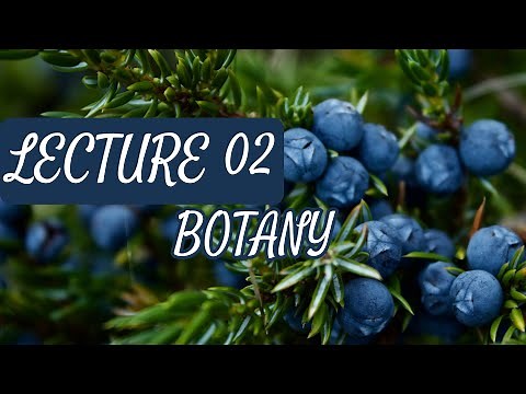 Botany - Lecture 02 (Flowers, Fruits and Seed)