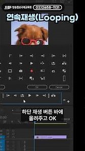 Premiere Pro, Loop Playback Feature #VideoEditing