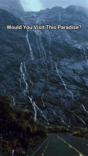 You Won't Believe This Place in Milford Sound, New Zealand