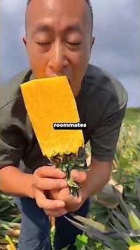 My roommate said her snoring wasn't her problem, so I recorded it and made it her problem instead.