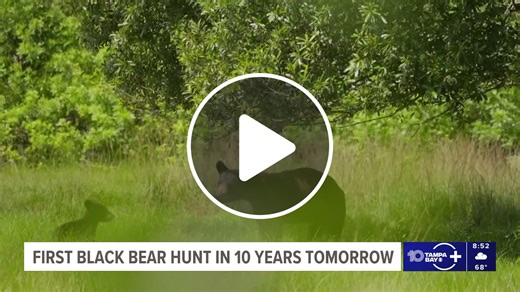 Polk County deputies searching for driver in deadly 2021 hit-and-run - NewsBreak