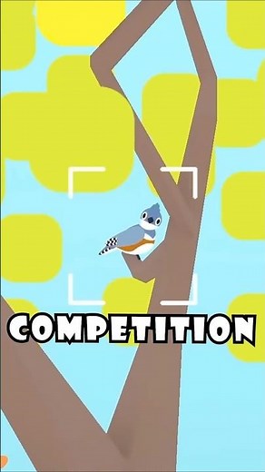 A dev put ME in their birdwatching game... #thestellarjay #gaming #funny