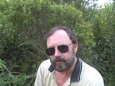 Bayberry Benefits and Side Effects