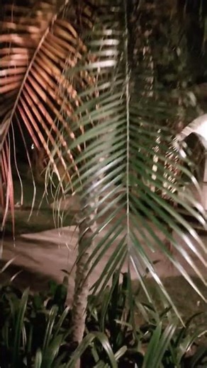 comment me location bataye #love #song #hindisong #ytshorts #shortvideo #bollywood #trending