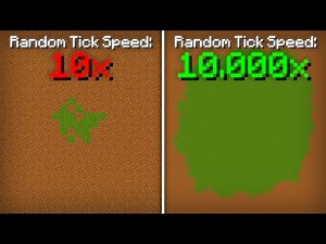 Extreme Grass Growth with Random Tick Speed