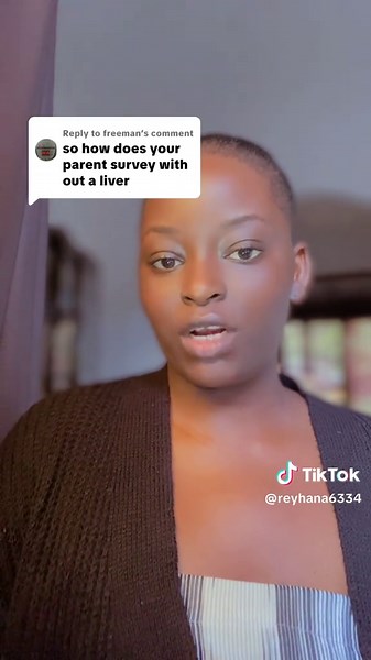 Understanding Liver Donation and Recovery