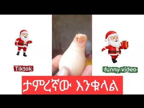 🔴በ kenya ሀገር ሊያርጉ የተዘጋጁ ልዩ ፍጥረቶች/የዛሬ የ Tiktok ጠቃሚ መረጃዎች ስብስብስ