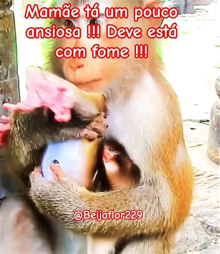 Mamãe ansiosa e faminta !!! #mamãe #fome #bebê #monkey
