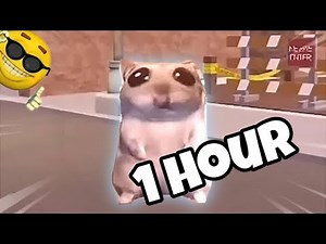Damn Mommy I just Wanna 1 hour version - Hamster Meme Original / Damn Mami I just Wanna | Meme