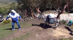 189K views · 3.2K reactions | CANCIÓN HOMENAJE A JOSE LUIS Voces: Yalily Bustamante de Hnas. Bustamante. Segundo Guevara de Agrupación Megamix. Música: Jaime y Chino Marrufo. Audio: J&N Studio Video: Lolito Díaz. Letra: Segundo Guevara. | AndinaRadio - Chota | Facebook