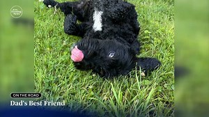 While they're known as man's best friend, sometimes it takes a bit of convincing to get some guys on board with becoming a dog dad, including Steve Hartman, who learned just how quickly dogs can steal your heart. | CBS Evening News