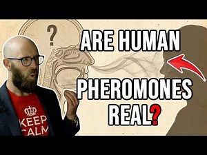 Do Humans Actually Have Pheromones?