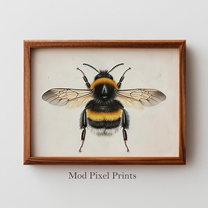Vintage Bumblebee Illustration Printable - Scientific Entomology Art, Realistic Cottagecore Decor, Botanical Farmhouse Wall Art 33 - Etsy
