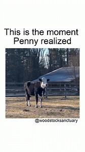 23K views · 1.4K reactions | Penny's first moments experiencing the...