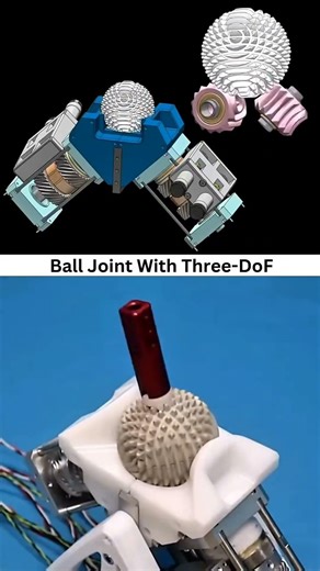 This Joint Moves in Every Direction