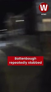 The moment murderer who beat and stabbed victim is arrested | WalesOnline