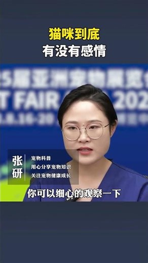 Do Cats Feel Emotions? The Truth Behind Feline Feelings