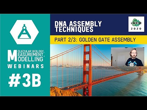 Week #3B: DNA Assembly Techniques - Part 2/3 Golden Gate Assembly - iGEM 2020 Measurement Webinars