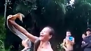 Man dies after being bitten by cobra he was teasing