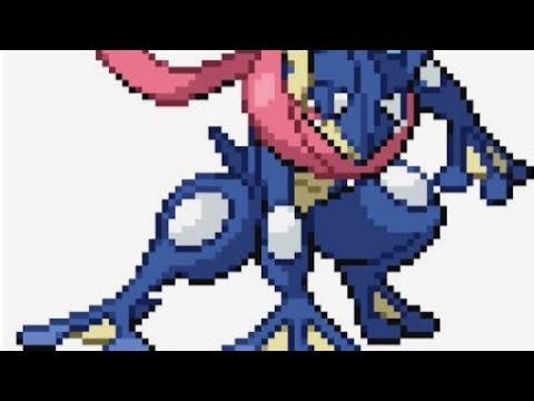 My frogadier evolves pbb (pokemon brick bronze)