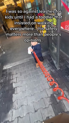 Child Safety: The Importance of Toddler Leashes