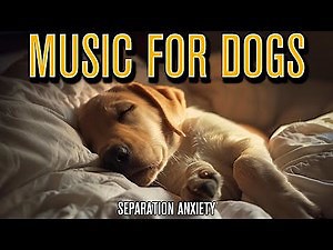 Dog Music: Healing Separation Anxiety Music for Lonely Sad Dogs!