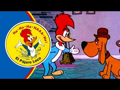 ¡El perro parlante de Woody! | 2.5 Horas de Episodios Clásicos | El Pájaro Loco