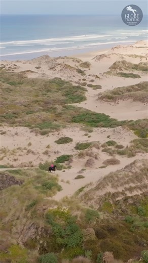 Why learn in an arena when you can learn in PARADISE? 🏖 Our brand new 𝗧𝘄𝗶𝗻 𝗖𝗼𝗮𝘀𝘁 𝗘𝘀𝗰𝗮𝗽𝗲 lets beginner riders experience New Zealand’s wild beauty – sandy beaches, ancient forests & cultural gems – at their own gentle pace. 🏇5 days, 4 nights (4 riding days), ⏰3-4 hours’ riding per day, mostly at a walk with some trotting ☀️BONUS: sightseeing at the tippity-top of NZ! 💰From: $3,995 NZD Beginner-friendly. Chilled vibes. And did we mention the wild horses?! Don't forget about our p
