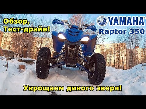 Yamaha Raptor 350 ATV review and test drive. Taming the wild beast! Skijoring.