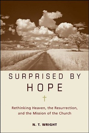 Surprised by Hope 6 Sessions Video Downloads Bundle   [Video Download]
