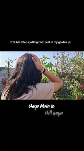 Only Plant Parents will understand ✨️❤️#terracegardenindia #Gardening #youtubeshorts