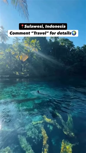 The Tarzan Way | Personalized travel on Instagram: "Comment “Travel” for more details!🌊🏖️ Indonesia, Sulawesi, Bali, Beach, Island, Travel, Beach trip, Island Trip #indonesia #island #sulawesi #travel"