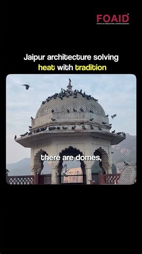 How a Traditional Jali Made This Jaipur Office 30% Cooler