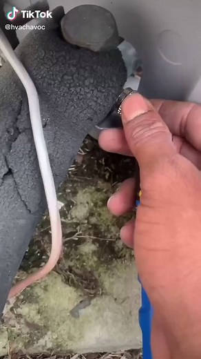 How to pump a Hvac system down. #veto #milwaukeetools #fieldpiecetools #learn #hvac #PepsiApplePieChallenge