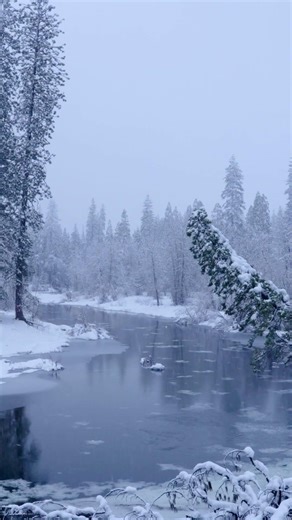 Yosemite Snowfall ASMR