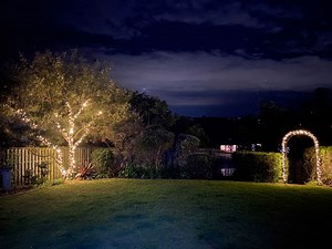 24V Low Voltage Led Fairy Lights for Trees - Buy Online