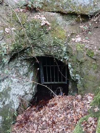 Der 1939 stillgelegte Wilhelmstollen im Schriesheimer Wald #lostplace #lostplacesgermany #forest #history #fyp