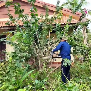 162K views · 3K reactions | TIME LAPSE 09 Minutes to Revive a Long Abandoned Resort #cleanup #abandonedresort #restoration #timelapse #beforeandafter #overgrown #satisfyingclean #propertyrevival #transformation #outdoorcleanup | Clean The Old House | Facebook