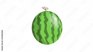 Animated Whole Watermelon Fruit isolated on white background. Fresh delicious watermelon Cartoon illustration. Fresh summer fruit high in minerals and vitamins. 4k animation. Harvested Watermelon.