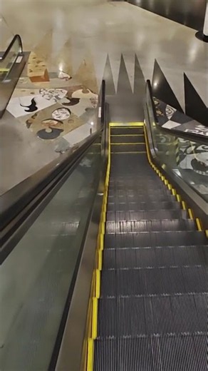 #OTIS 513 NPE #Escalator [Down, B2-B3] | Dhoby Ghaut #MRT Station [NS24/NE6/CC1], #Singapore