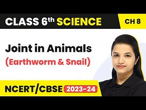 Class 6 Science Chapter 8 | Body Movements - Joint in Animals (Earthworm & Snail)