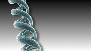 Download A 3D animated DNA strand turns - Loop for free