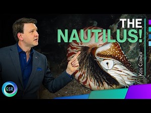 The Nautilus: God’s Spiral Design in the Sea| GSR Kids Corner with David Rives