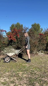 2.3M views · 54K reactions | My boyfriend: « Dear? can you help me pick up tree branches? » Me: …  | Melody Donchet ( S3 official ) | Facebook