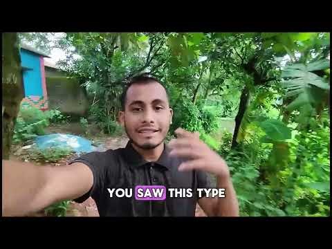 how to learn a language with comprehensible input