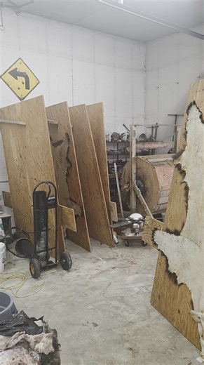 Another big beautiful Saskatchewan bear!! Blocked and stretched for rugging. | Gordo's Crick of the Valley Saskatchewan fine furs.